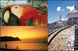 Collage of a scarlet macaw, a beach at sunset and a tiled church dome