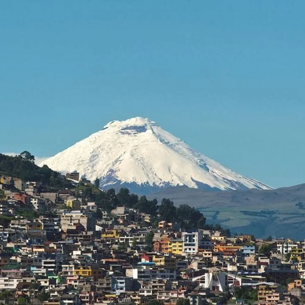 Snow-capped volcano rising above a hillside city